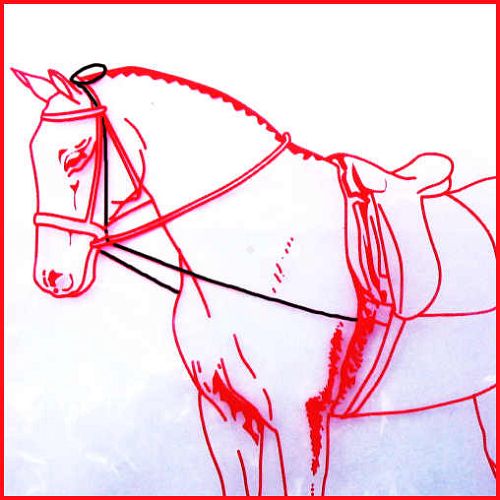 STALLION-L Czambon gumowy / 1701