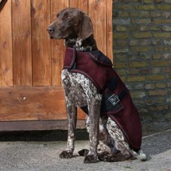 Dog rug QHP Turnout / 6164