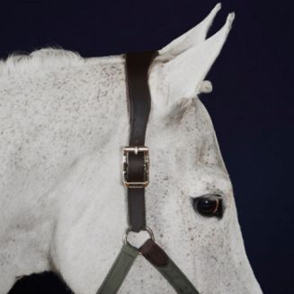 Headcollar SCHOCKEMÖHLE Arcon Style / 1311-00032 - 6