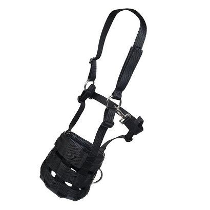 Kaganiec dla konia HKM  z taśmy z kantarem / 1412