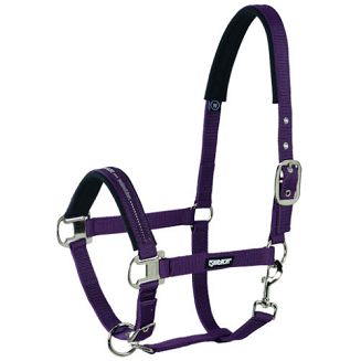 Kantar ESKADRON PIN BUCKLE, BASICS - blackberry