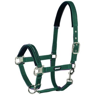 Kantar ESKADRON PIN BUCKLE, BASICS - racinggreen