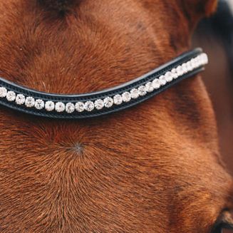 SCHOCKEMÖHLE Ogłowie anatomiczne EQUITUS BETA