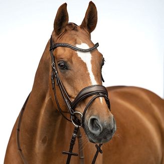 Padded Bridle  HKM Ira brown / 14529 - 2