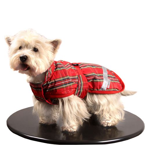 Ubranko dla psa ortalionowo-polarowe GLASGOW dla średnich psów / 0231B