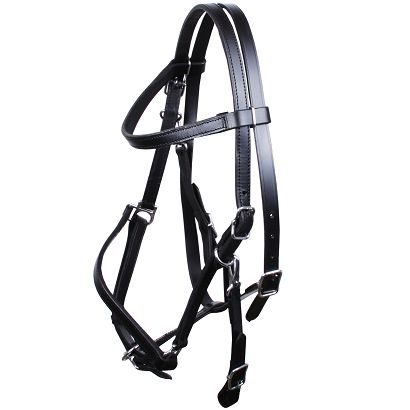 Bridle headcollar NOWAK CENTER leather