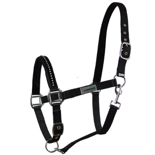 Kantar dla konia, ozdobiony kryształkami.