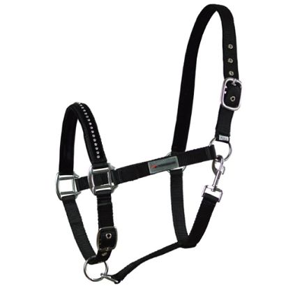 Halter HORSENJOY Glitter / 1802