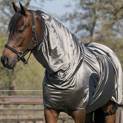 Rug QHP ECZEMASHEET / 6086