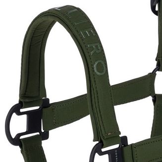 Kolor Forest Green - leśna zieleń