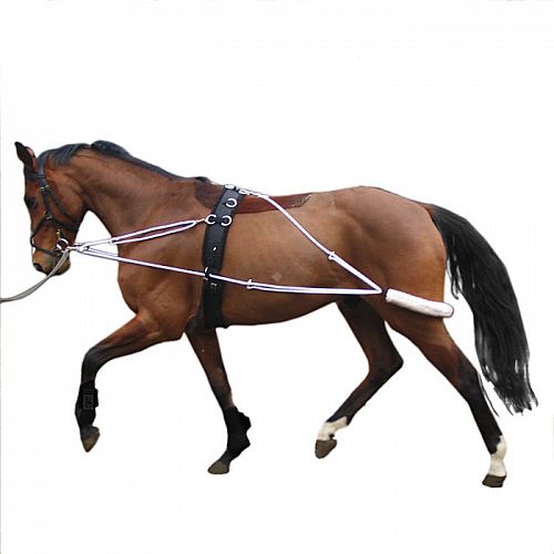 STALLION-L System treningowy (wodze treningowe typu Pessoa) / 1715