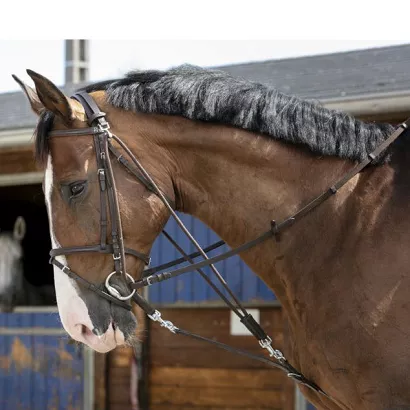 Gogue RIDING WORLD with pulleys / 306396