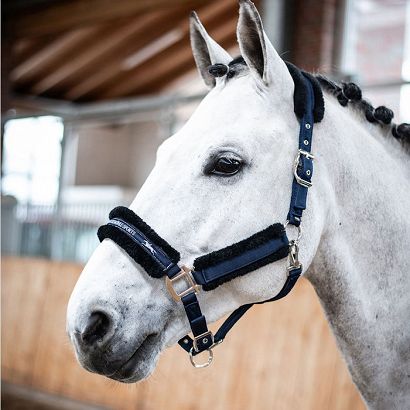 Headcollar SCHOCKEMÖHLE Melbourne Style Deep Night / 1311-00032