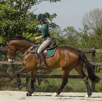 QHP Eventing boots front leg technical / 4045 - 3