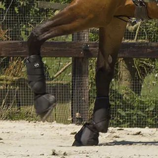 QHP Eventing boots front leg technical / 4045 - 2