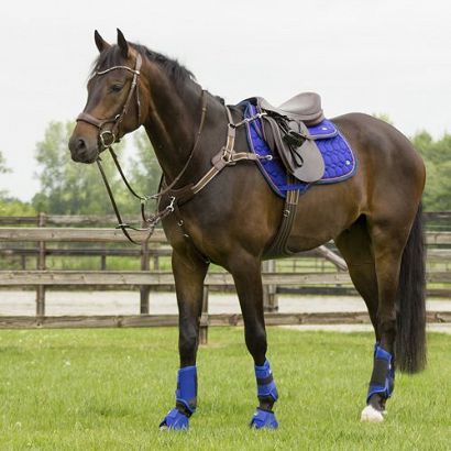 QHP Eventing boots front leg technical / 4045