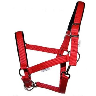 Kantar MUSTANG EXTRA  - czerwony