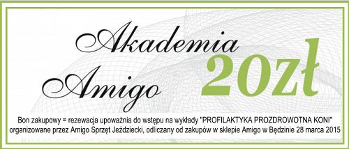 Akademia Amigo - 28 marca 2015