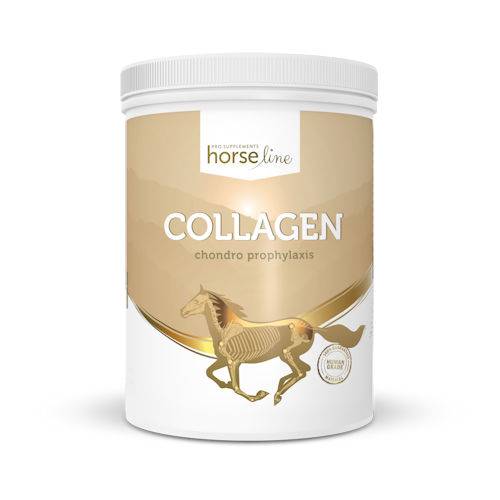 HorseLinePRO Kolagen - Hydrolizowane białko kolagenowe o wysokiej biodostępności 800g