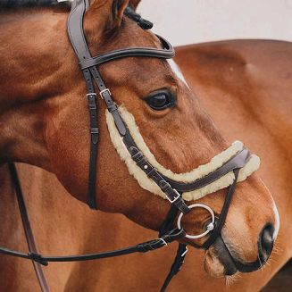 kształt nachrapnika powoduje, że omija on bardzo wrażliwy nerw twarzowy, a żyły i tętnice nie są narażone na nacisk; zmniejsza to możliwość potrząsania głową przez konia jak również ogranicza skurcze mięśni