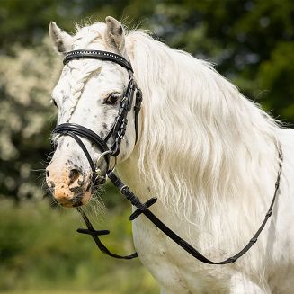 Ogłowie pony skórzane QHP Beli, nachrapnik kombinowany, wodze parciane, czarne / 9088 - 2