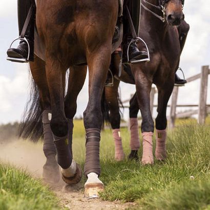 ESKADRON Bandages fleece (kpl. 4szt.) 3,5 m - Heritage 2019/2020 - 610053270