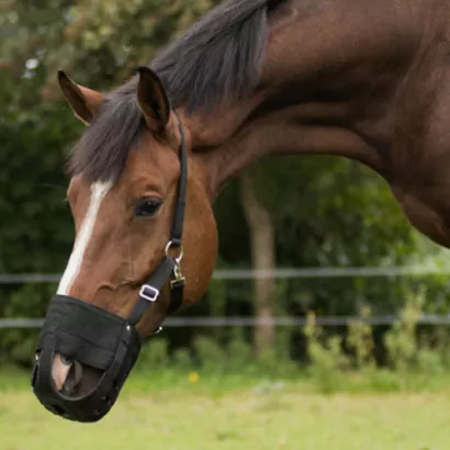 Grazemuzzle with nostrils QHP / 5153