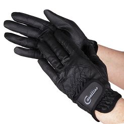 CAVALLINO Riding gloves BASK / 0832 
