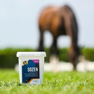 Suplement w proszku  dla koni, łagodzący stres.