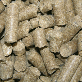 Smaczki dla koni DELIZIA CLASSIC 1kg - kształt