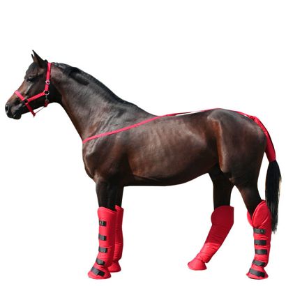 Ochraniacze transportowe  AMIGO (kpl 4 szt.) 1 -pony, czerwone/ 2156