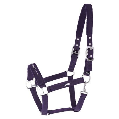 Horse Halter SCHOCKEMÖHLE SP Memphis Style III Dark Purple / 10015