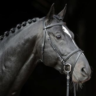 Ogłowie COVALLIERO STANDARD z nachrapnikiem kombinowanym - 2