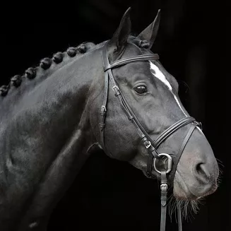 KERBL Bridle STANDARD - 2
