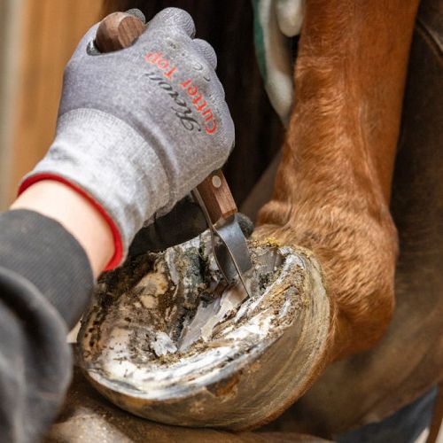 Nóż do kopyt oczkowy KERBL ProfiLoop z drewniana rączką / 16825