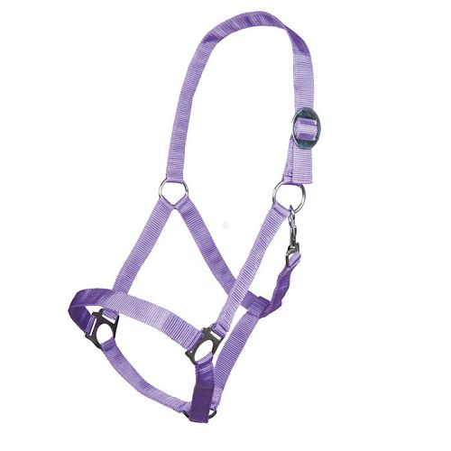 Halter HKM Stars Economy  Lila / 66143