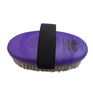 Szczotka HAAS  z twardym włosiem / 32655 - fioletowa