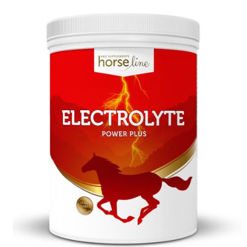 HorseLinePro Electrolyte Power Plus, mieszanka paszowa dietetyczna wyrównująca utraty elektrolitów 1500g