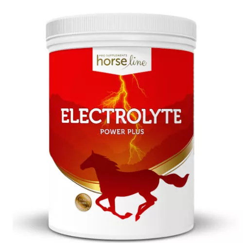 HorseLinePro Electrolyte Power Plus, mieszanka paszowa dietetyczna wyrównująca utraty elektrolitów 1500g