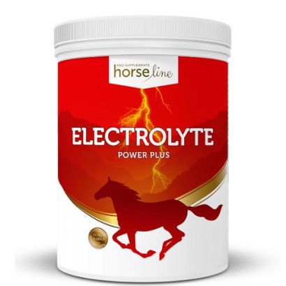 HorseLinePRO Electrolyte Power Plus, mieszanka paszowa dietetyczna wyrównująca utraty elektrolitów 1500g