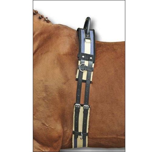 Lunging belt HKM with a handle beige and navy / 1795