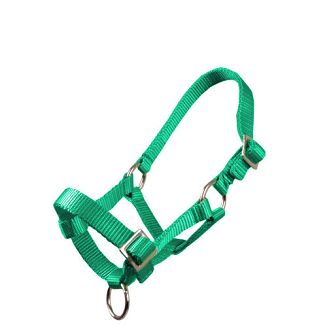 MUSTANG Kantar taśmowy źrebięcy - MF - źrebak szetlanda / 0010 - 31 jasnozielony