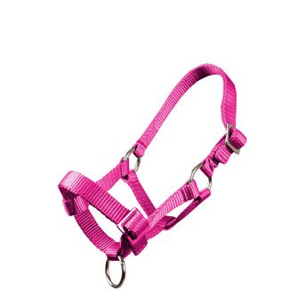 MUSTANG Kantar taśmowy źrebięcy - MF - źrebak szetlanda / 0010 43 fuksja