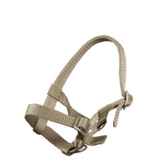 MUSTANG Kantar taśmowy źrebięcy - MF - źrebak szetlanda / 0010 - 47 beżowy