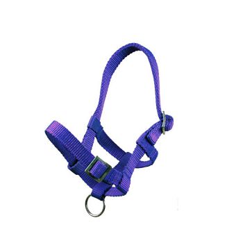 MUSTANG Kantar taśmowy źrebięcy - MF - źrebak szetlanda / 0010 54 szafirowy