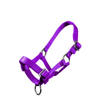 MUSTANG Kantar taśmowy źrebięcy - MF - źrebak szetlanda / 0010 54 szafirowy 56 fioletowy