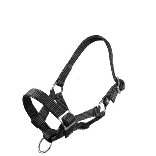 MUSTANG Kantar taśmowy źrebięcy - MF - źrebak szetlanda / 0010 18 czarny