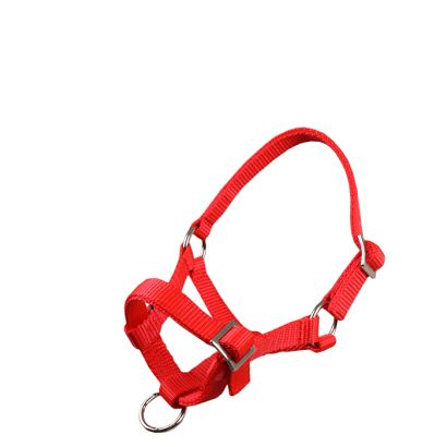 Foal headcollar MUSTANG  MF / 0010