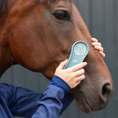 Brush for horse MAGIC BRUSH Soft , turquoise or white lily/ 3297683