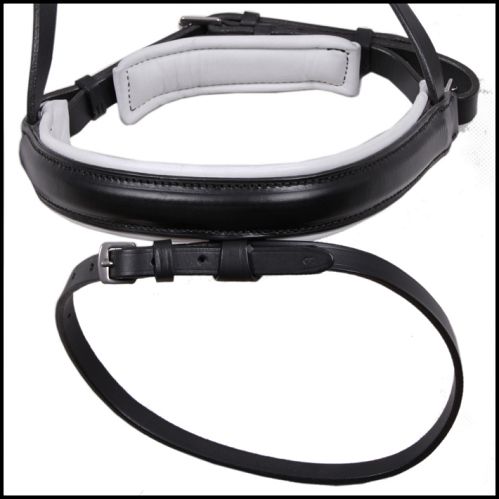 28 DAW-MAG Padded bridle with Swedish noseband